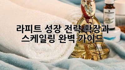 라피트 성장 전략: 확장과 스케일링 완벽 가이드