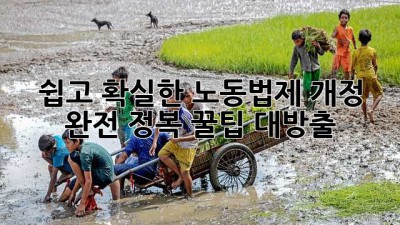 🤔 쉽고 확실한 노동법제 개정 완전 정복! 꿀팁 대방출 🍯
