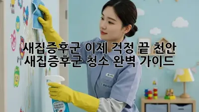 새집증후군, 이제 걱정 끝! 천안 새집증후군 청소 완벽 가이드